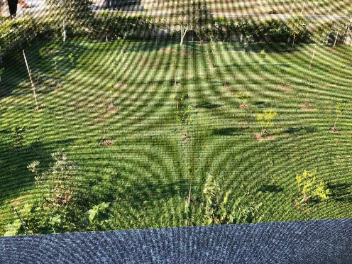 Palma Apartamento